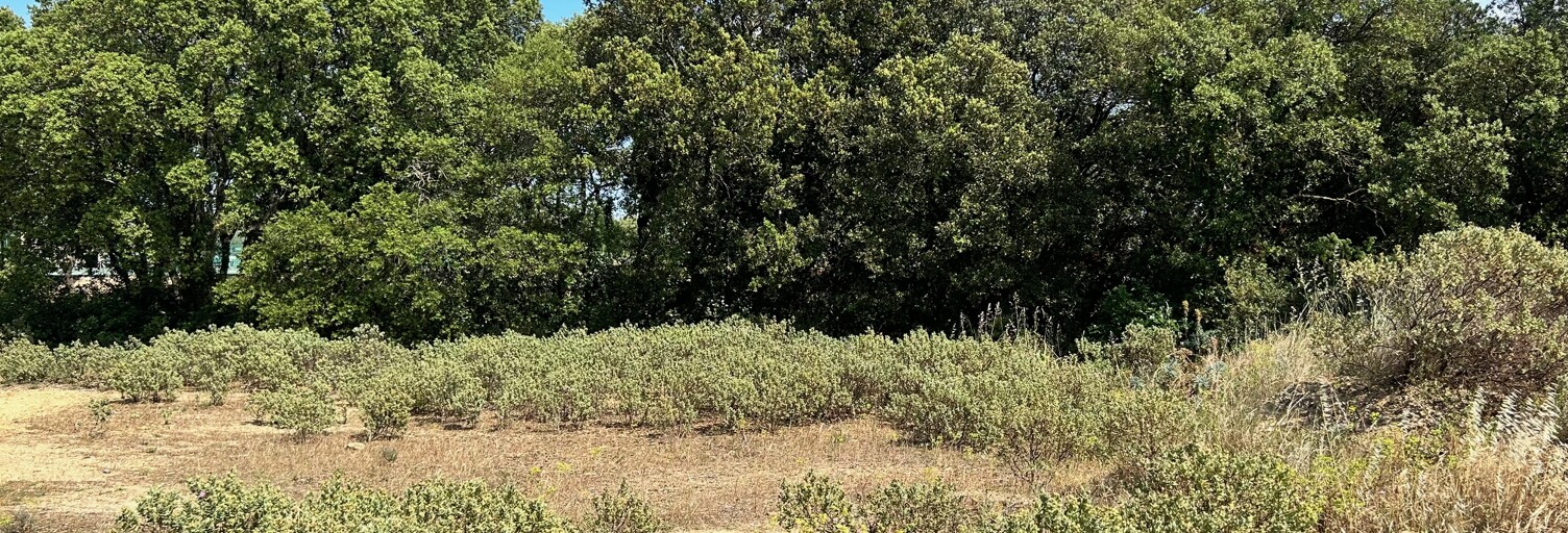 Terrain 779 m² à construire Vers-Pont-du-Gard (30210)