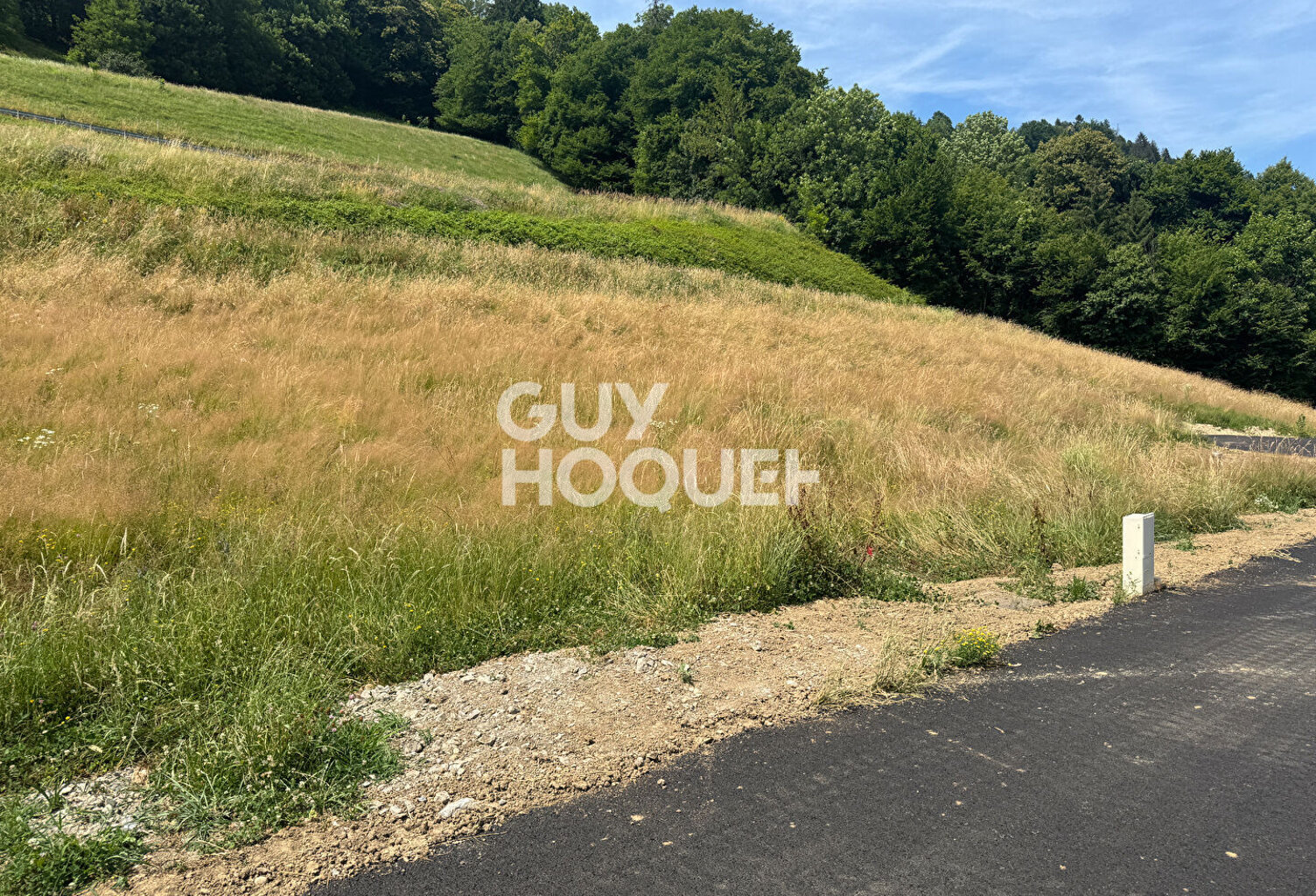 terrain — photo 1