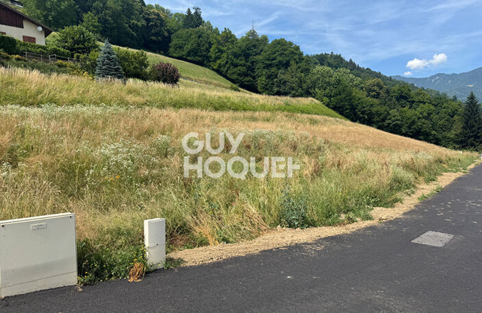 terrain — photo 2