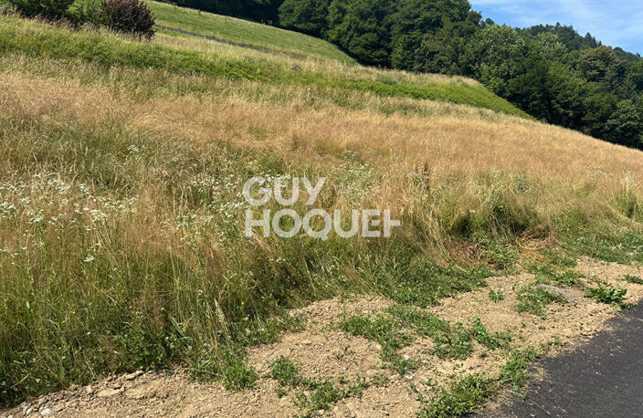 terrain — photo 4