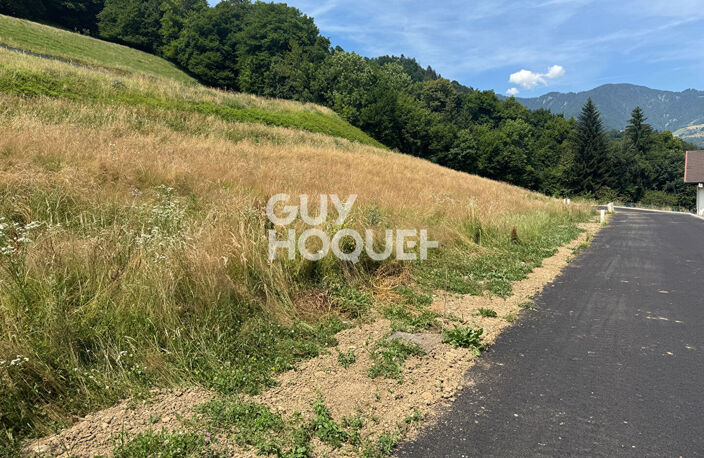 terrain — photo 5