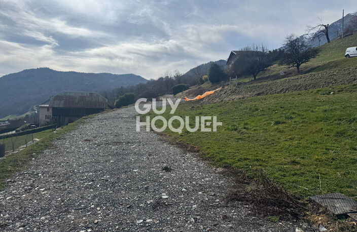 terrain — photo 3