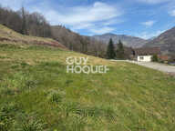 terrain — photo 2