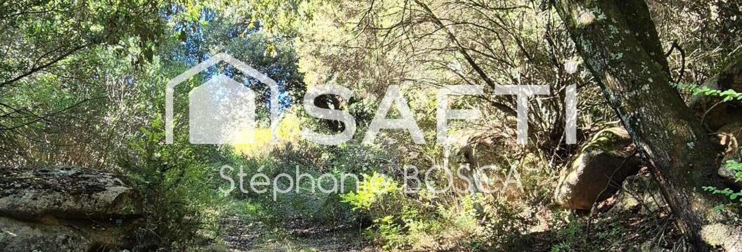 Terrain  3800 m² à vendre à Albitreccia (20166)