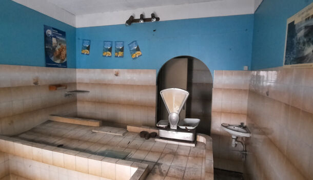 Autres 6 pièces  à vendre Arles-sur-Tech 66150