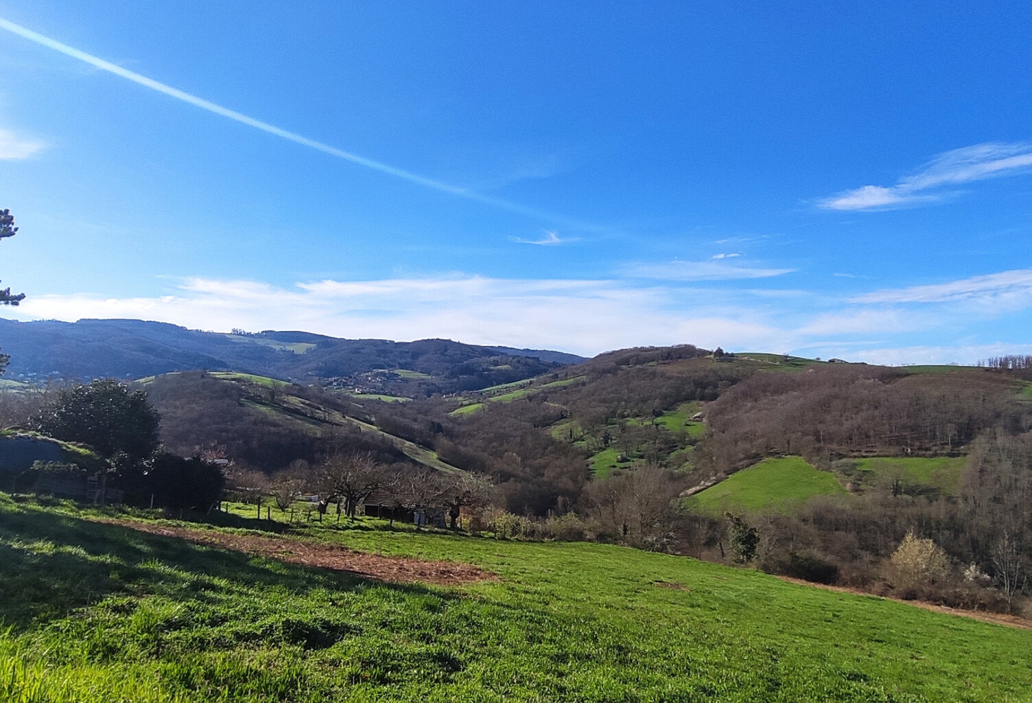 TERRAIN CONSTRUCTIBLE  ST PIERRE LA PALUD — photo 1