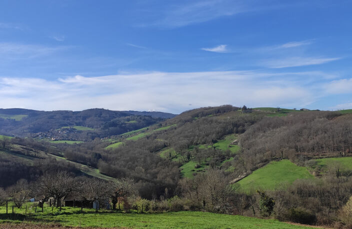 TERRAIN CONSTRUCTIBLE  ST PIERRE LA PALUD — photo 3