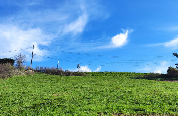 TERRAIN CONSTRUCTIBLE  ST PIERRE LA PALUD — photo 4