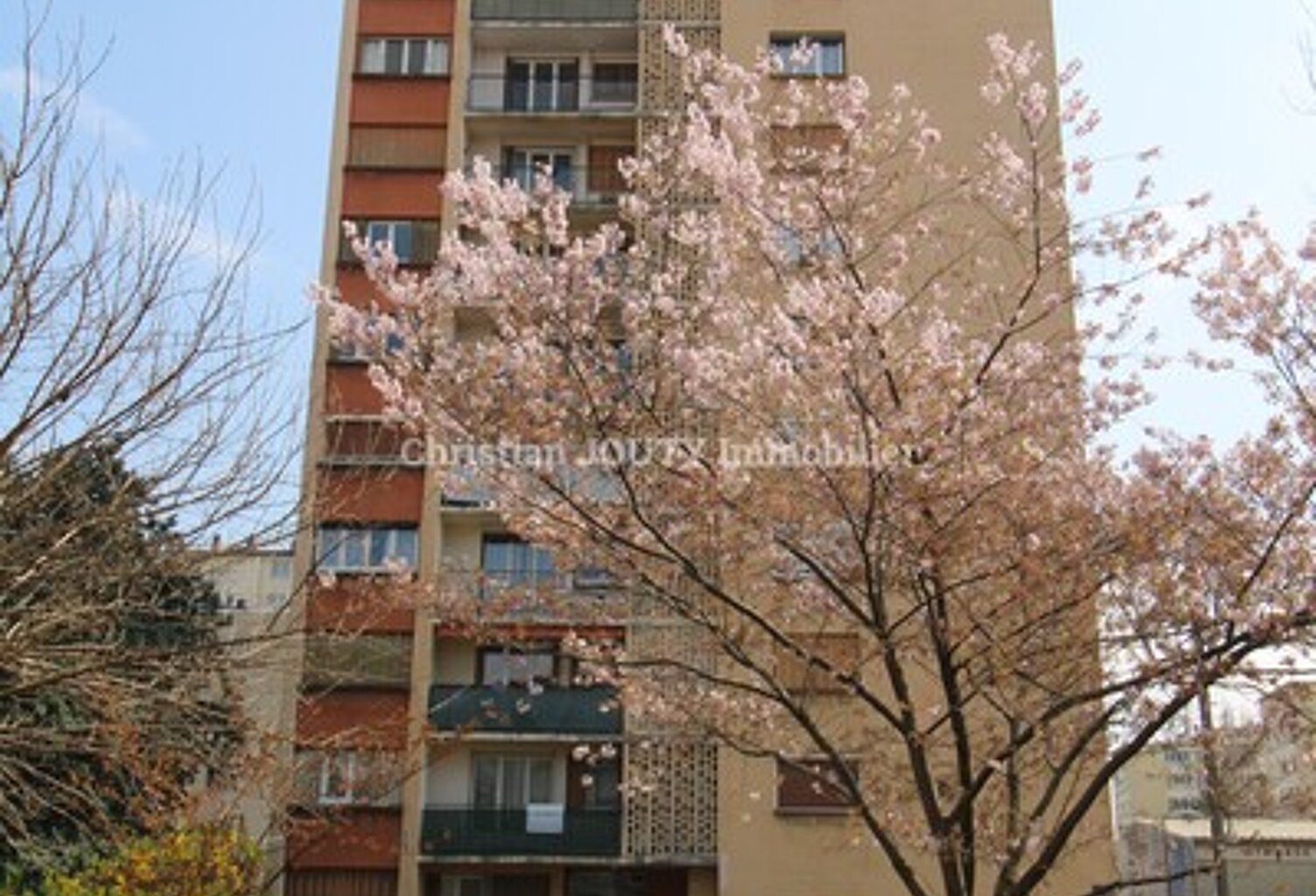 F3 — photo 1
