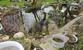 Maison 8 Pièces 183 m² à vendre à Paulnay (36290)