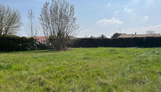 Terrain  à vendre Château-d'Oléron (Le) 17480