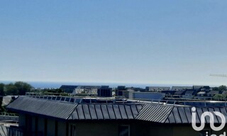 Photo N° 15
