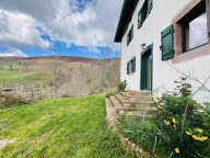 ANCIENNE FERME BASQUE RENOVÉE AVEC TERRES AGRICOLES — photo 2