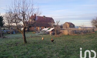 Photo N° 3