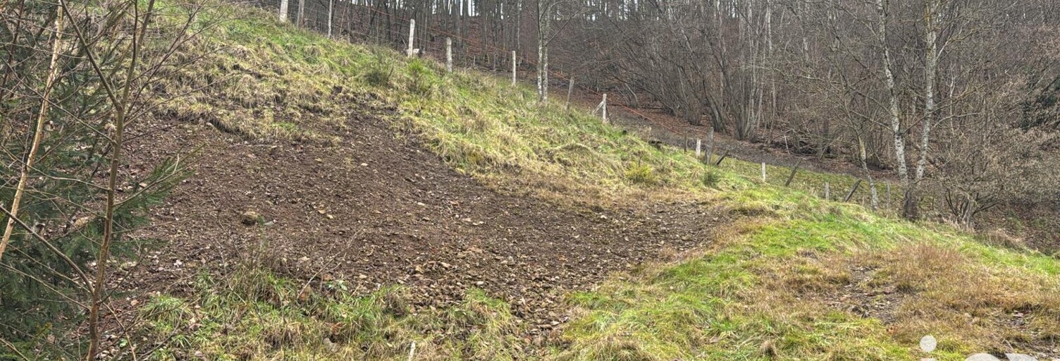 Terrain  1735 m² à vendre à Sainte-Marie-aux-Mines (68160)