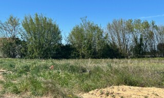 Photo N° 4