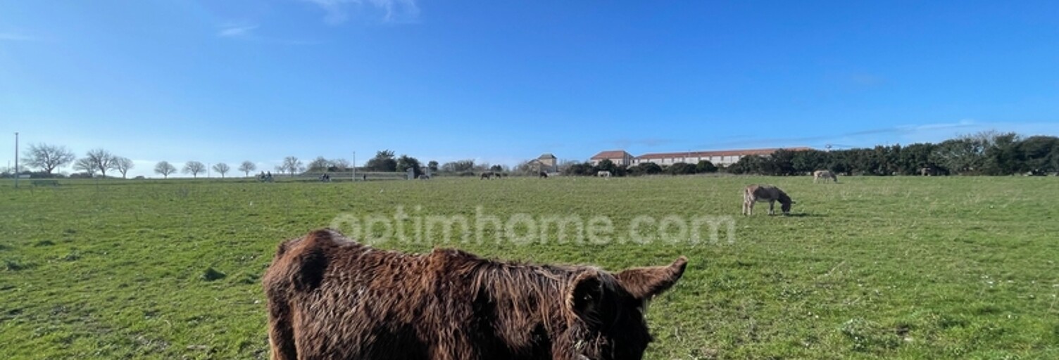 Terrain  4190 m² à vendre à Niort (79000)