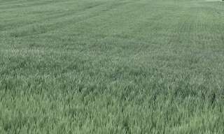 Terrain  25445 m² à vendre à Dangé-Saint-Romain (86220)