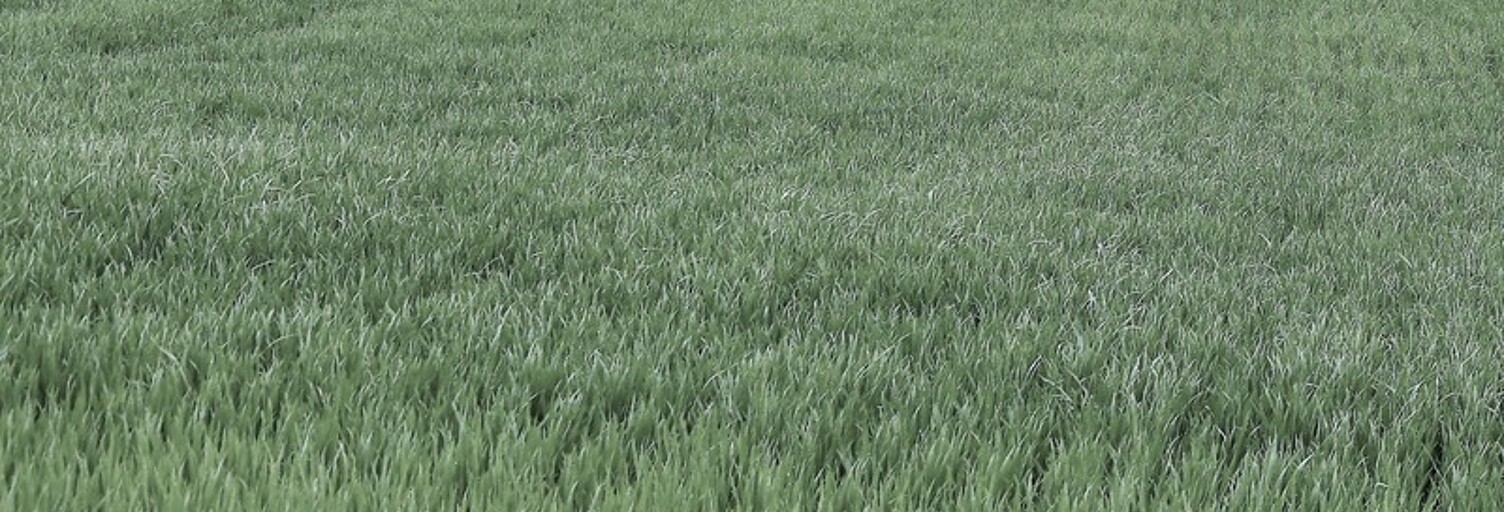 Terrain  25445 m² à vendre à Dangé-Saint-Romain (86220)