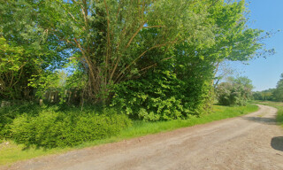 Photo N° 3