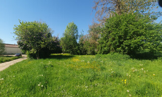 Photo N° 5