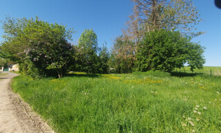Photo N° 6