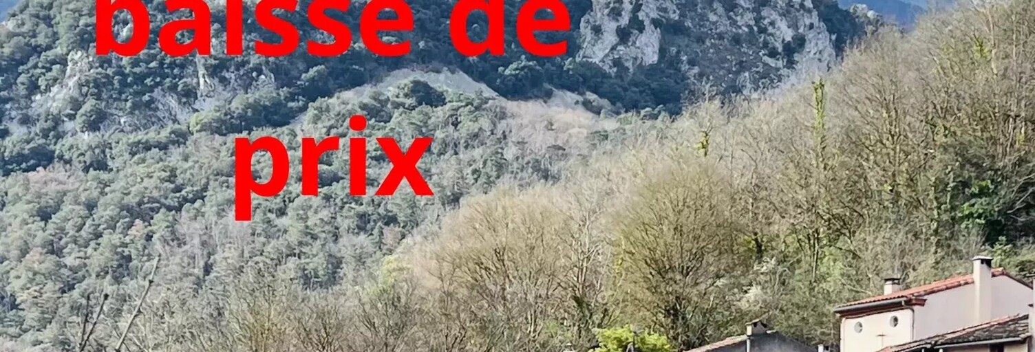 Maison 8 Pièces 140 m² à vendre à Puilaurens (11140)