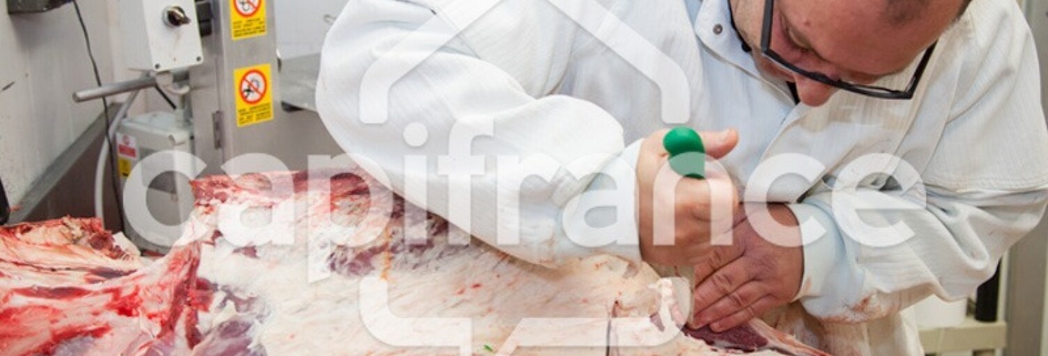 Commerce 8 Pièces 310 m² à vendre à La Roche-sur-Yon (85000)