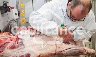 Commerce 8 Pièces 310 m² à vendre à La Roche-sur-Yon (85000)