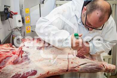 Commerce 8 pièces 218000 €