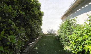 Photo N° 16