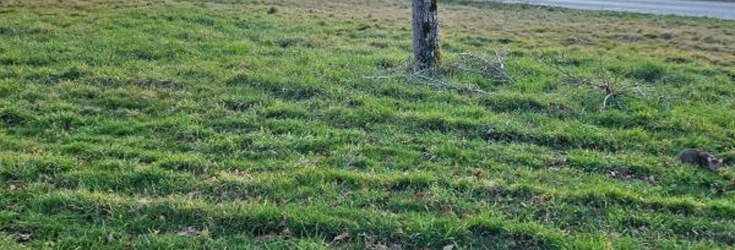 Terrain  997 m² à vendre à Burgnac (87800)