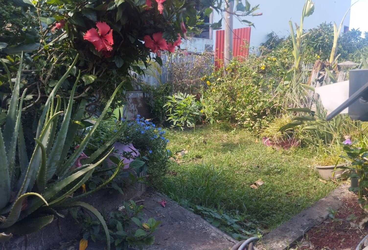 Maison sous tôle Les Avirons — photo 1