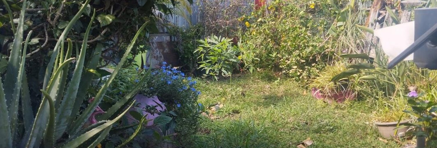 Maison 4 Pièces 100 m² à vendre à Les Avirons (97425)