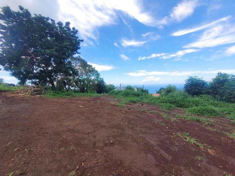 DIRECT IMMOBILIER A VENDRE, Piton-Saint-Leu – Terrain de 495 m² — photo 1