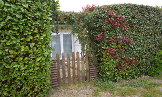 Photo N° 9