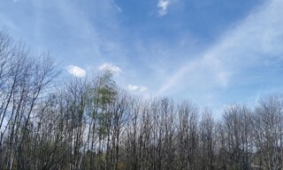 Photo N° 3