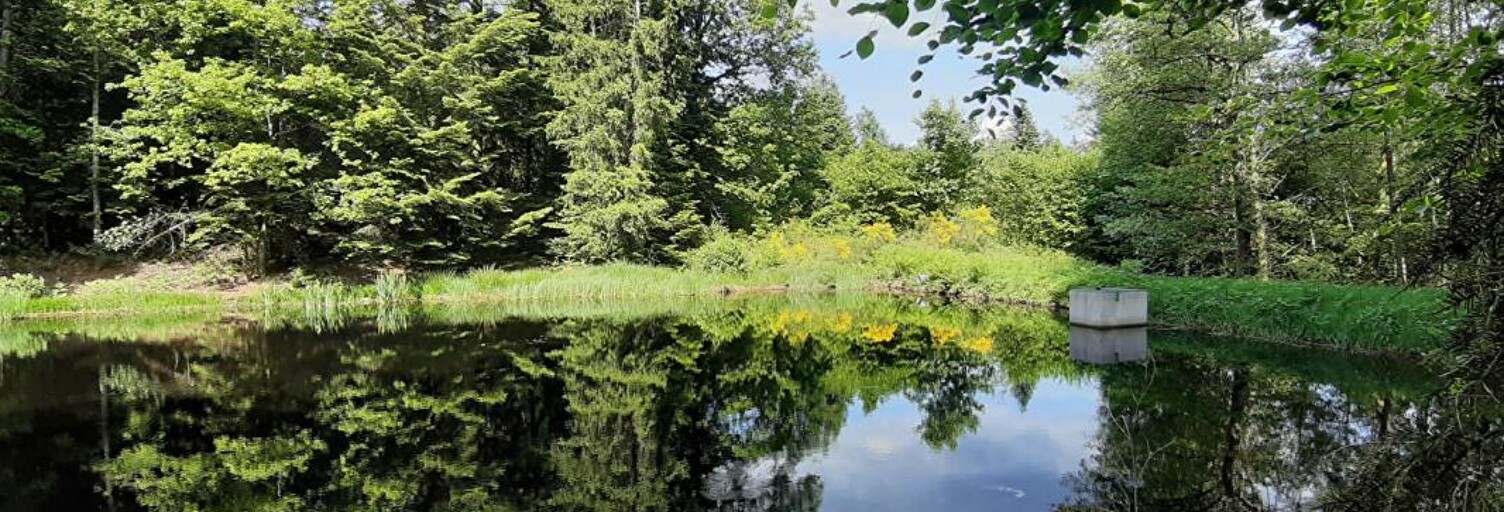 Commerce  9268 m² à vendre à Faucogney-et-la-Mer (70310)