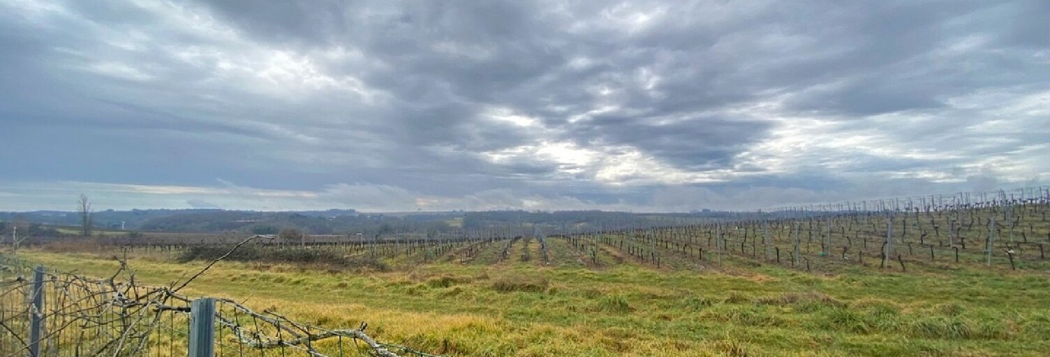 Terrain  1633 m² à vendre à Pellegrue (33790)