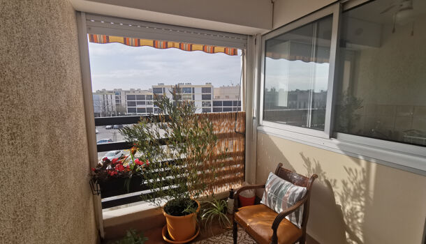 Appartement 1 pièces  à vendre Saint-Cyprien 66750
