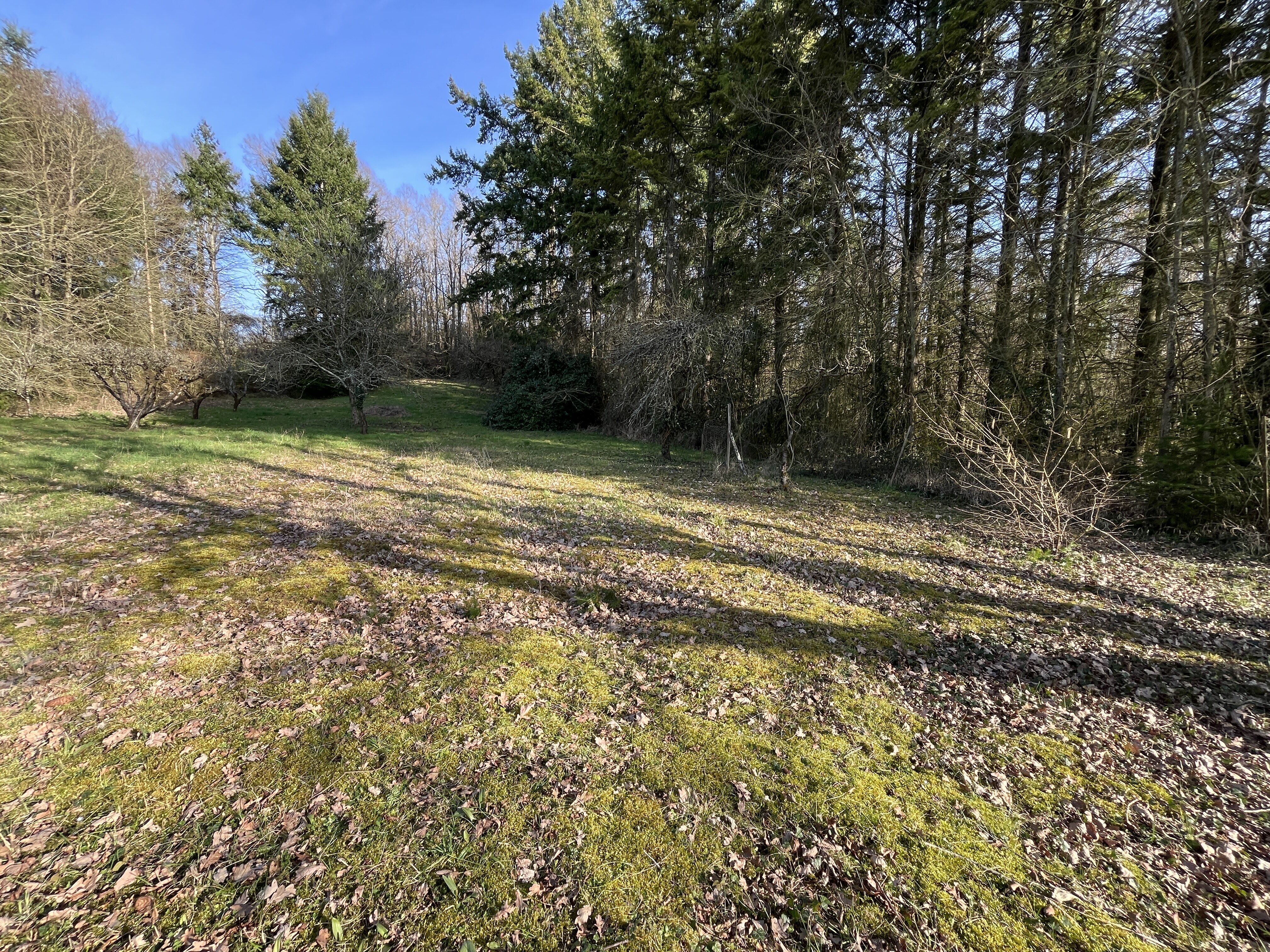 Terrain à Bâtir LEVROUX