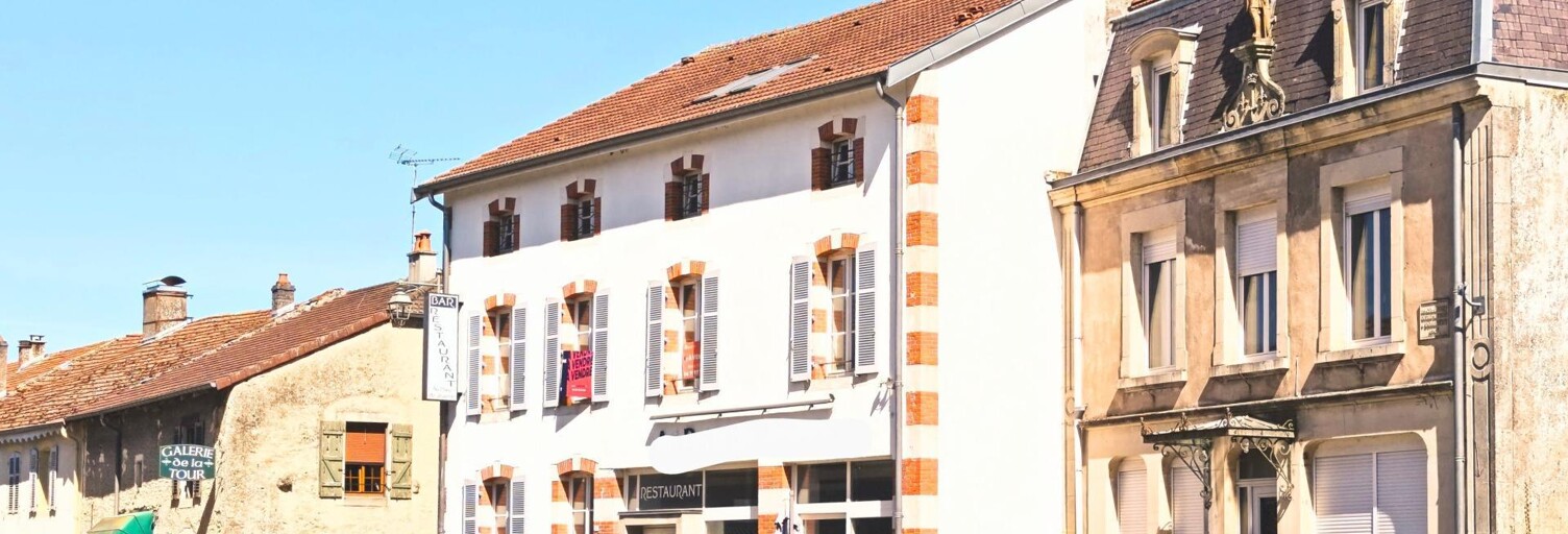 Commerce 9 Pièces 380 m² à vendre à Domrémy-la-Pucelle (88630)