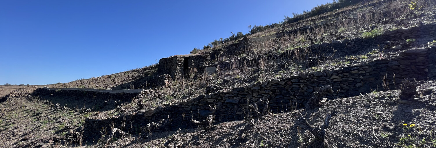 Terrain  7900 m² à vendre à Banyuls-sur-Mer (66650)