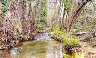 Photo N° 5
