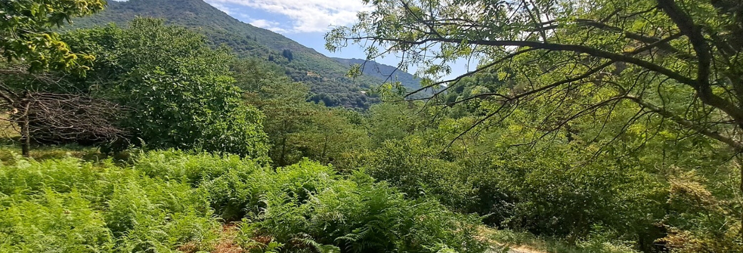 Terrain  876 m² à vendre à Villefort (48800)