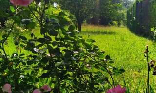 Photo N° 6