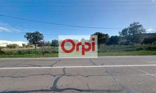 Terrain  23089 m² à vendre à Zonza (20144)