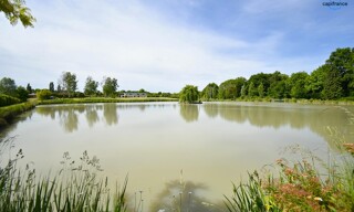 Maison 11 Pièces 373 m² à vendre à Vernou-en-Sologne (41230)