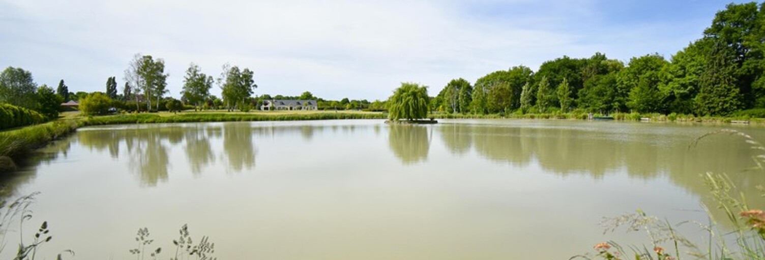 Maison 11 Pièces 373 m² à vendre à Vernou-en-Sologne (41230)