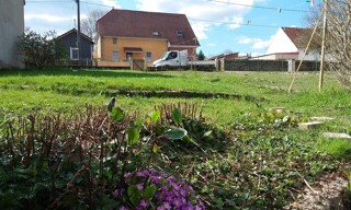 Photo N° 4